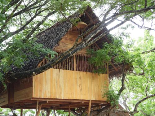Yala Village Eco Tree House
