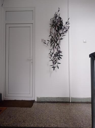 Smart Apartman in Bajina Bašta