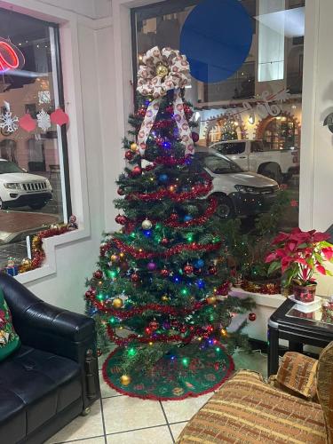 Lobby, Hotel Villa Fontana Inn in Ensenada
