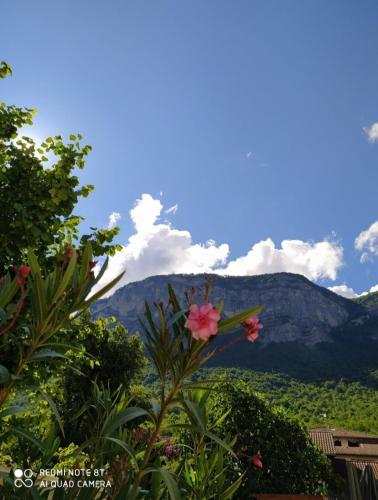 Skats, Cocon au pied de la Chartreuse in Saint-Hilaire (Rhone-Alpes)