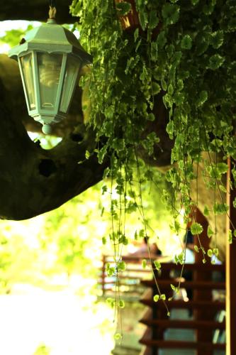 Hotel vila Vrbas