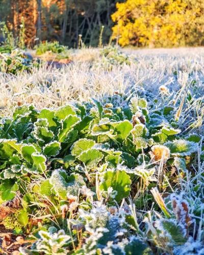 WANDERLUST EXPERIENCE HOTEL - image 6