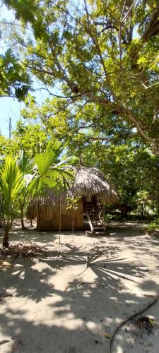 Surrounding environment, Eco-Camping Mango Feliz Rincon del Mar in San Onofre