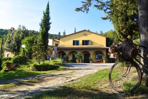 Holiday home in Cortona/Toskana 23618