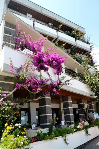 Hotel Cala Luna - image 3