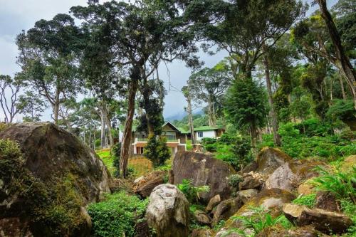 Neelakurunji Plantation Munnar