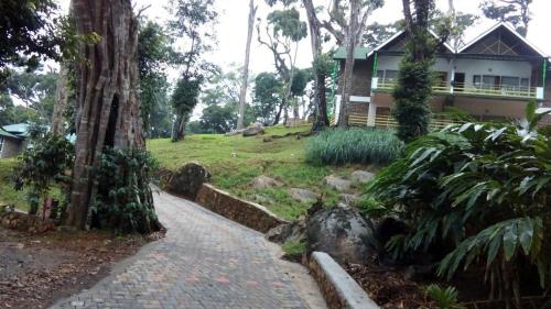 Neelakurunji Plantation Munnar