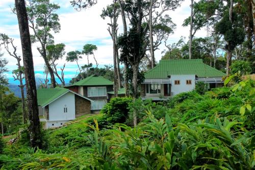 Neelakurunji Plantation Munnar