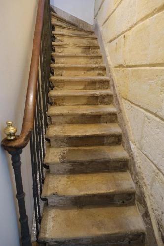 LA SALAMANDRE, Bordeaux (Foto 10)