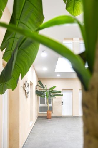 Apartamentos La Tahona Cádiz Centro 3