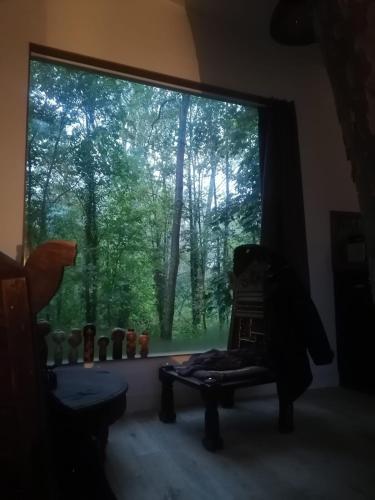 La maison dans l'arbre in Coulanges-la-Vineuse