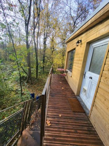 La maison dans l'arbre in Coulanges-la-Vineuse