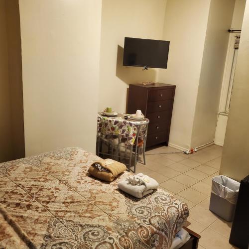 ONE BEDROOM APARTMENTS - image 13