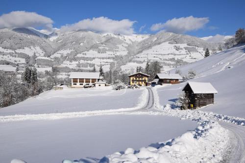  Löschenbrandhof in Mittersill