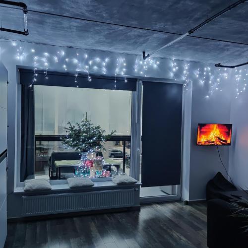 Erdvi studija Spacious studio apartment Self check in Room Type - One-Bedroom Apartment