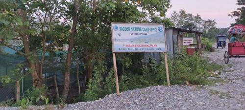 Pigeon Nature Camp photo 4