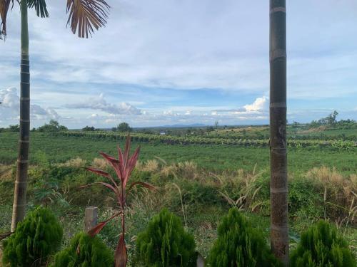 I AM Koh Ker - Tap to explore photos