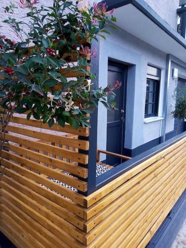 Forest Hill Air Conditioning Travel & Work Apartment mit privatem Eingang Birkenau Mannheim Weinheim in Birkenau