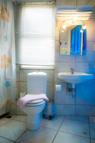 Apollonia Hotel Apartments Apollonia Hotel Apartments is perfectly located for both business and leisure guests in Athens. The hotel offers guests a range of services and amenities designed to provide comfort and convenience. A