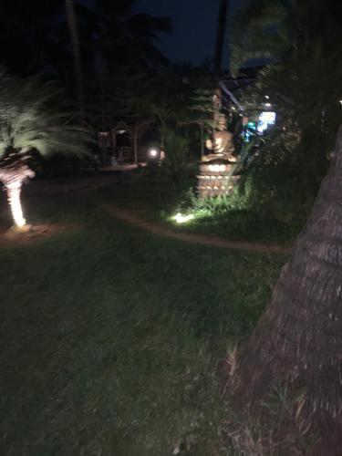 Planters punch bungalow photo 1