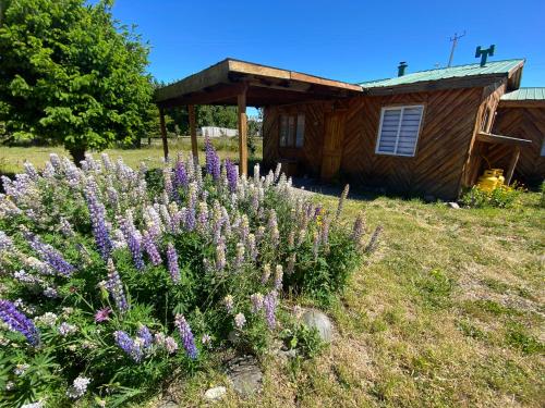 Patagonia Bordelago Lodge in Puerto Ingeniero Ibanez