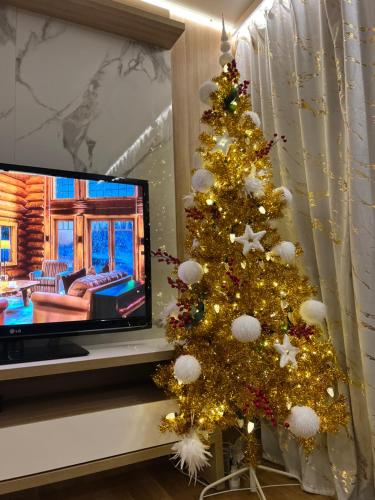 Apartament Centrum Wyzwolenia