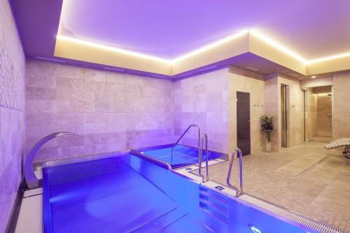 Kosher Hotel King David Prague - image 2