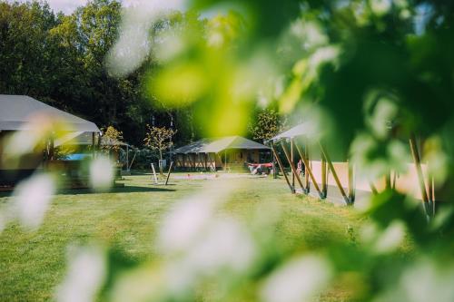  Glamping de Bosweide in Alphen