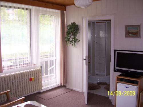 pension Jesen - image 13