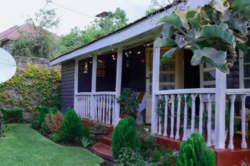 Starry Nights Cottage