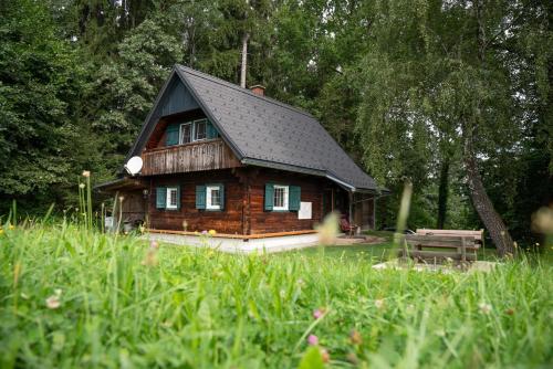 Gregor´s Ferienhaus im Wald in Edelschrott