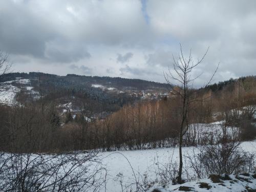 Domek w Bieńkówce (Domek w Bienkowce) in Harbutowice