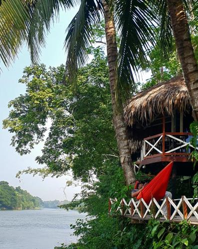 Chitra Resort - Dhaka