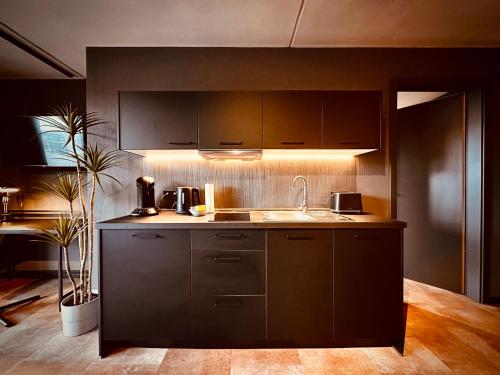 Konyha, Stadthaus Neckarsulm serviced apartments - Stadthaus Heiner in Neckarsulm