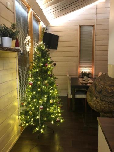Jääskän Loma Holiday Apartments Peräseinäjoki - image 7