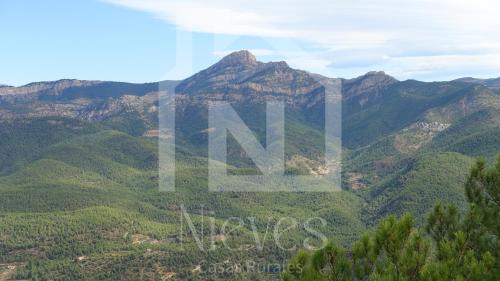 周邊環境, La Buhardilla de Casa Nieves in 比利亞耶爾莫薩德爾里奧