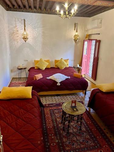 DAR Naima - image 12