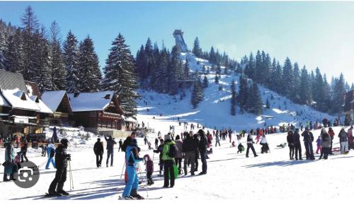 Apartman Mila Vlašić (Apartman Mila Vlasic) in 希沙瓦