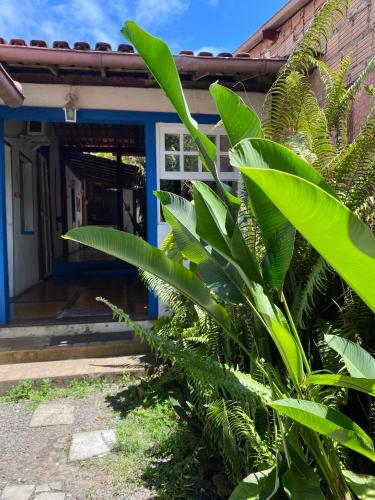 สวน, Tropicália Hostel e Pousada (Tropicalia Hostel e Pousada) in อิตาคาเร่