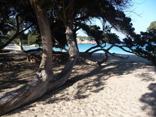 Hostal Yebisah - image 5