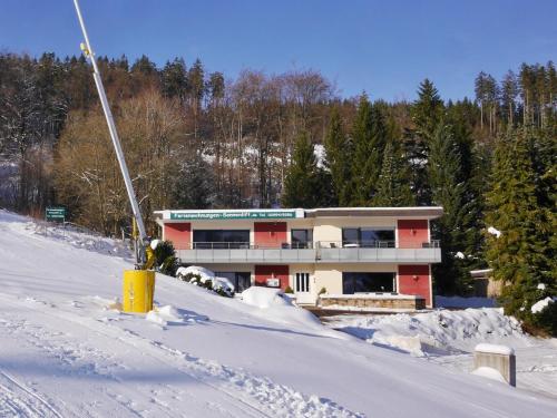Quartier12 Ski in & Bike out - Fewo BERG, Willingen (zdjęcie 5)