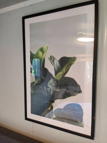 Beautiful 30m2 tiny home! in ولستون