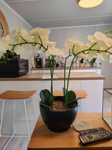 Beautiful 30m2 tiny home! in ولستون