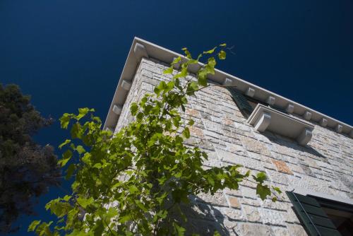 Villae Dalmaticae - Plava - image 7