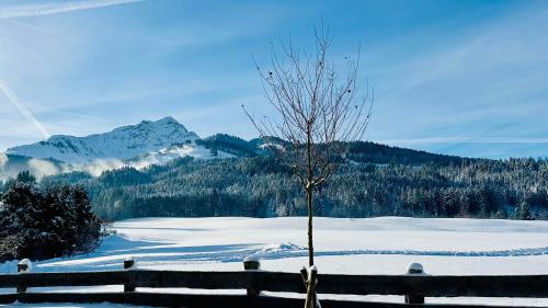 Haus Wurzenrainer in Sankt Johann in Tirol