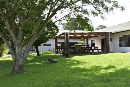 Vrt, Intaba Lodge in Elliot