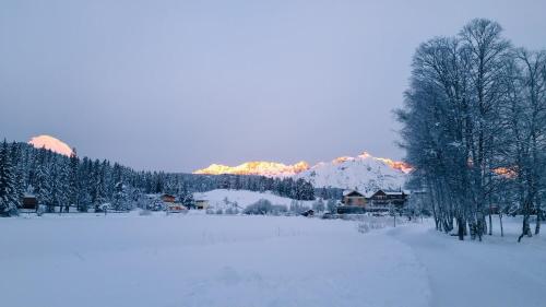 Haus Bergkristall - Apartment Schneider in Seefeld