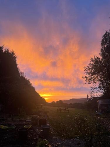 The Cabin at Shambala- now with sauna available to book! in Robin Hood's Bay