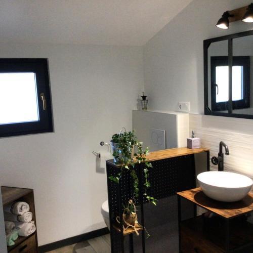 Fürdőszoba, Les berges du Seudo in Labastide De Levis