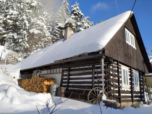 Ubytování Roubenka - Chalet - Koberovy